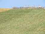 -- brez naziva --
